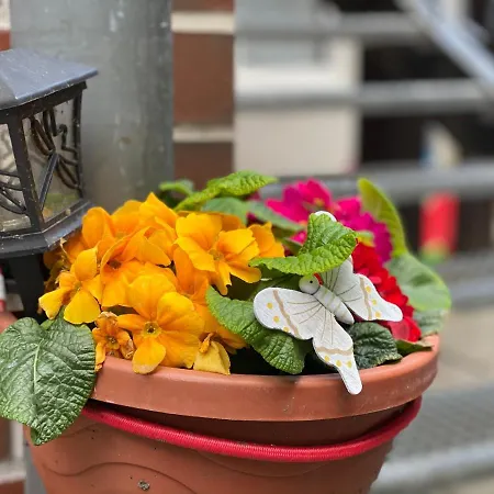 Zum Blumchen Guest house