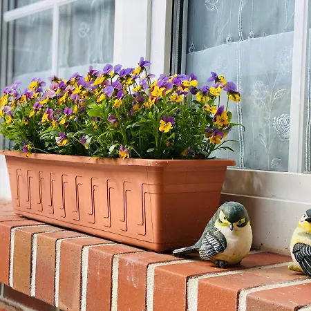 Zum Blumchen Pensjonat