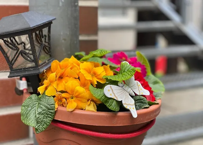 Zum Blumchen Gæstehus