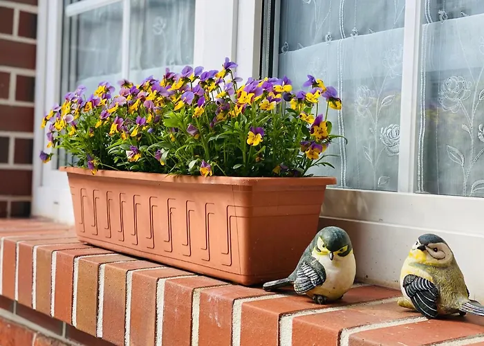 Zum Blumchen Gæstehus